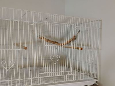 Large White Metal Bird Cage with Perches & Accessories - Used