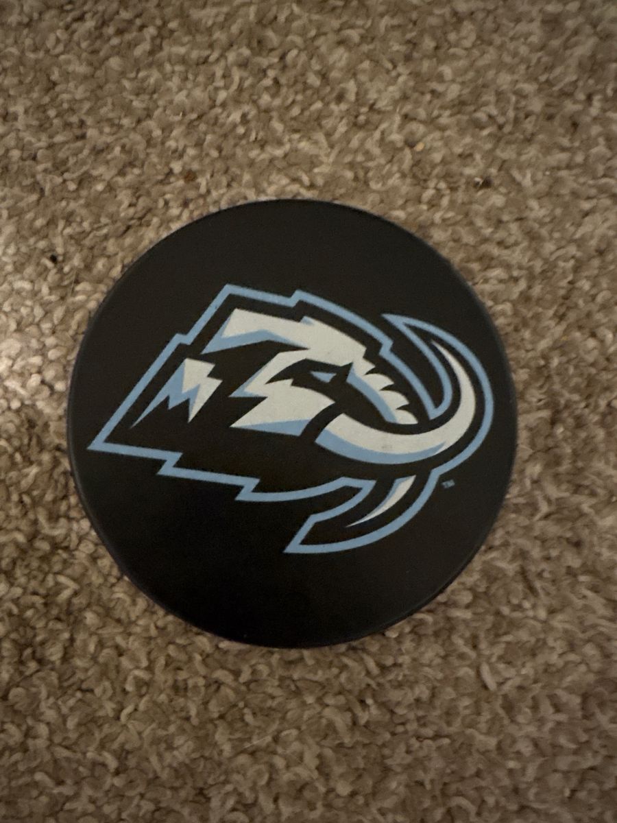 Mammoth Hocky Puck