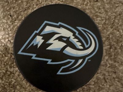 Mammoth Hocky Puck