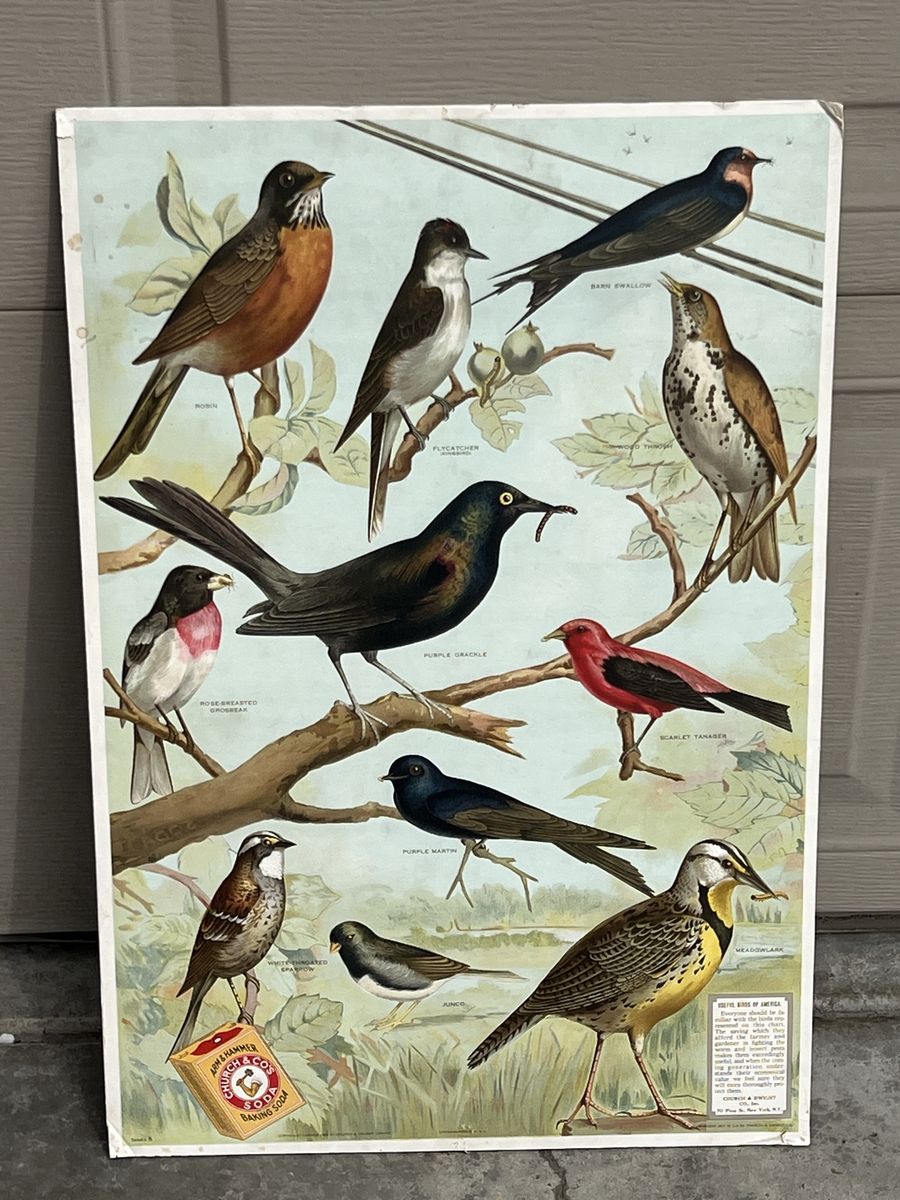 Vintage Arm And Hammer Sign