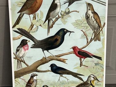 Vintage Arm And Hammer Sign