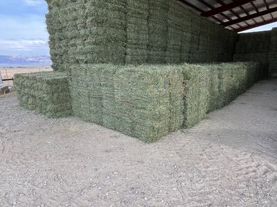 Alfalfa Hay Bundles