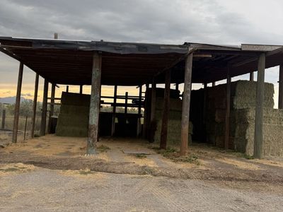 Quality Hay for Sale