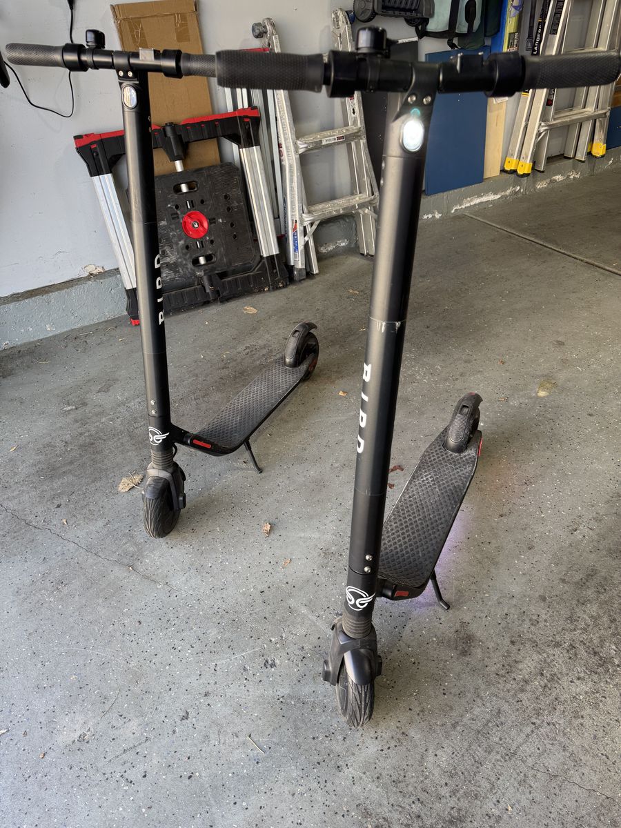 Pair Of Bird Segway Electric Scooters