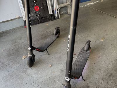 Pair Of Bird Segway Electric Scooters