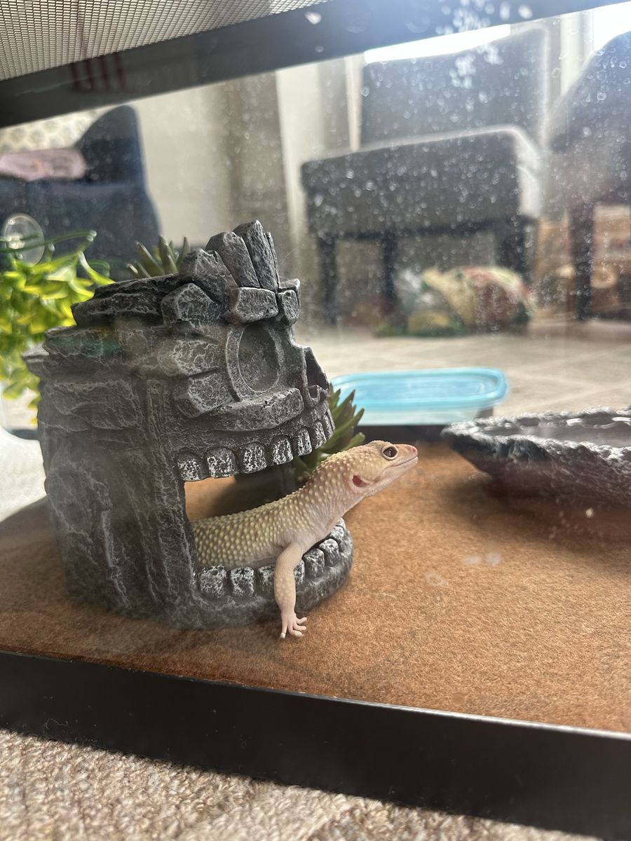 Main image 4