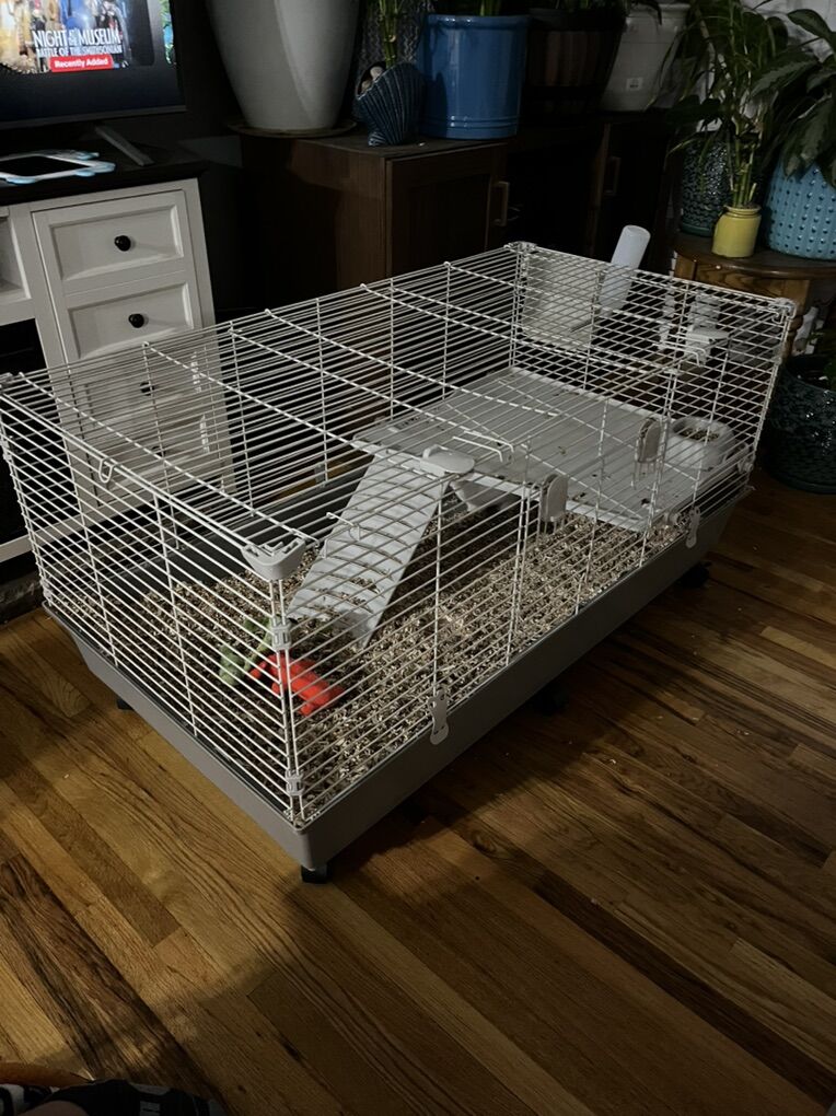Cage With Bunny