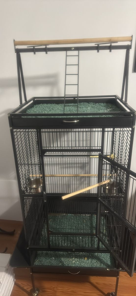 Parrot cage
