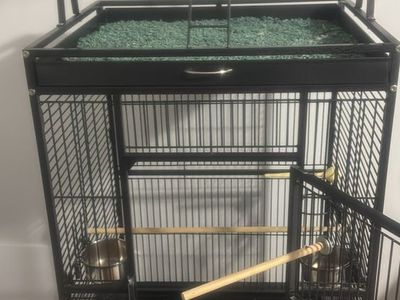Parrot cage