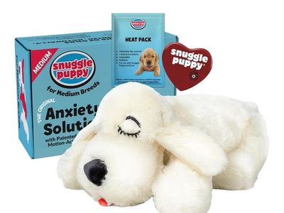 Snuggle puppy toy