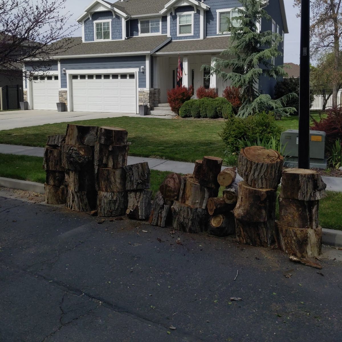 Firewood (cottonwood)