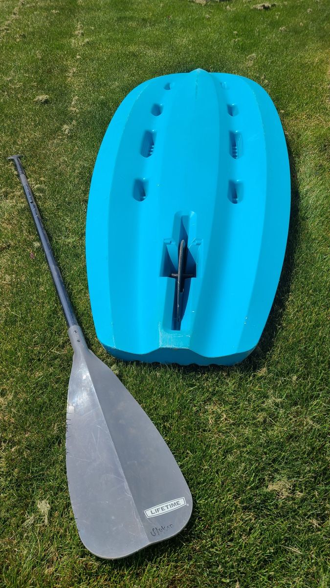 Lifetime SUP Paddle Board