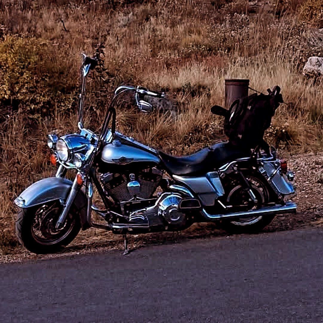Harley Davidson Road King Motorcycle - Classic Cruiser 2003