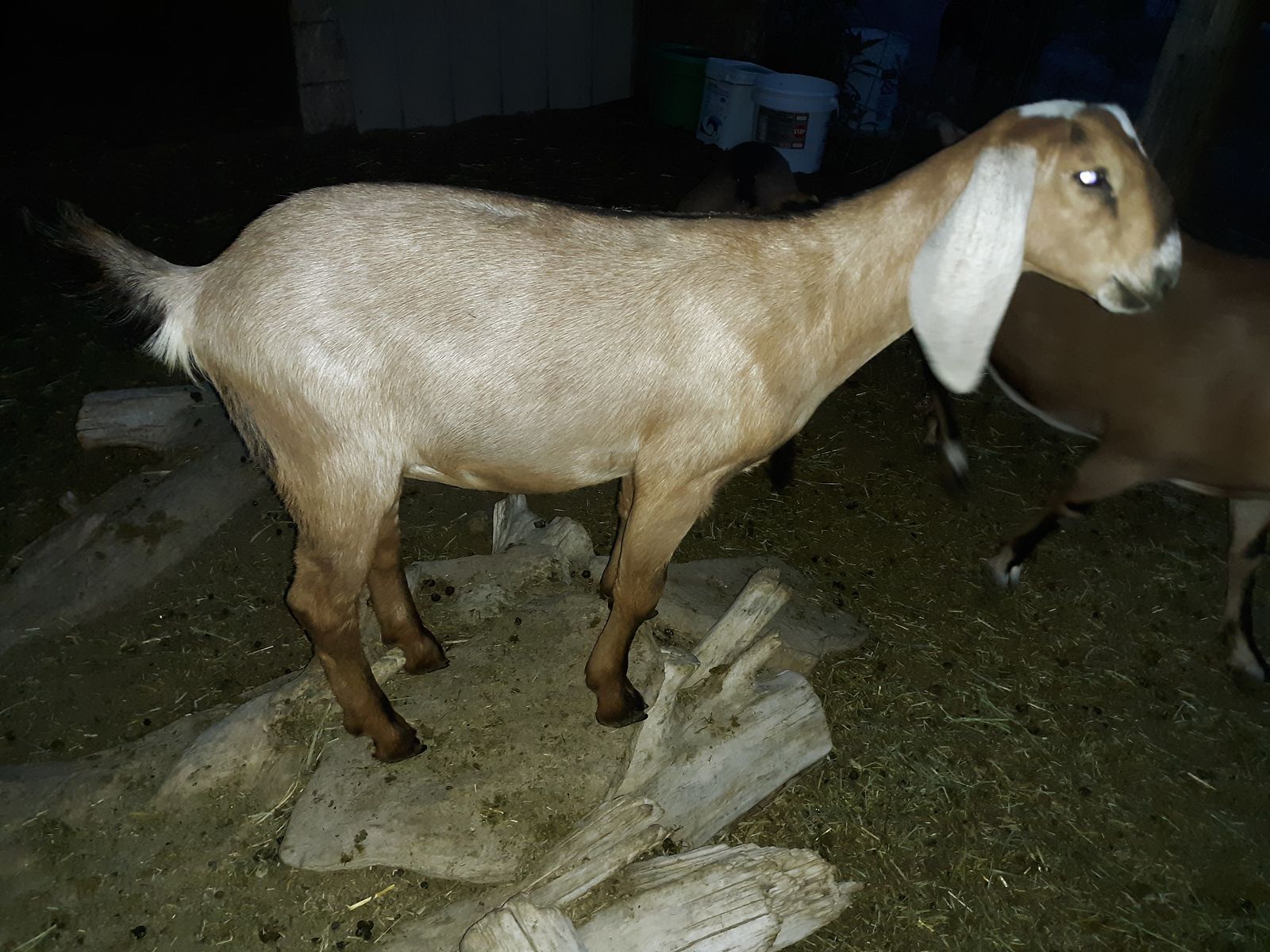 Main image 9
