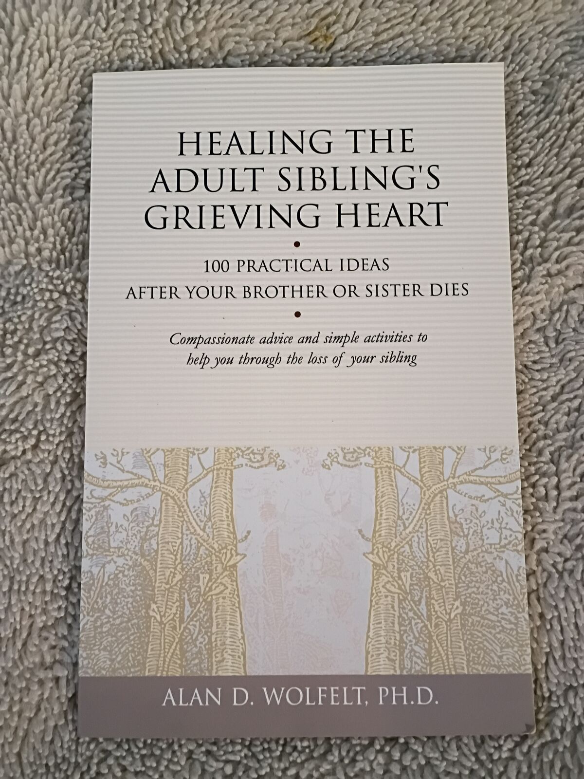 Healing The Adult Sibling's Grieving Heart - book
