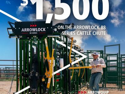 ArrowQuip Cattle Chute