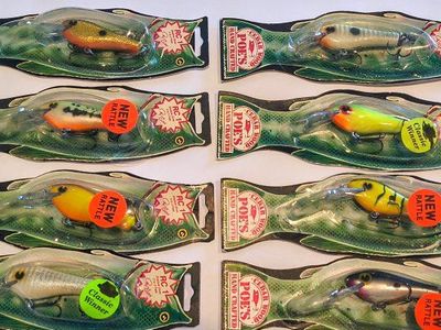 2 1/2" Crankbait 2-3 Depth