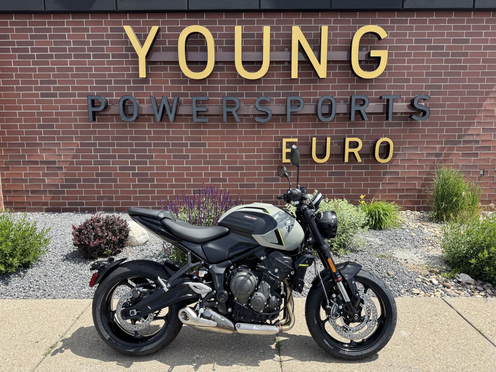 2026 Triumph Trident 660