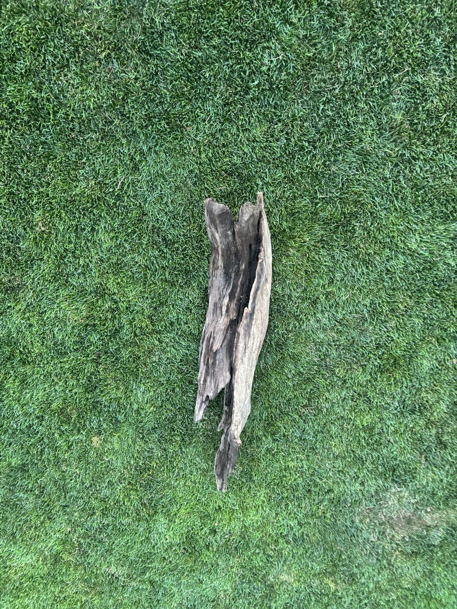 drift wood 