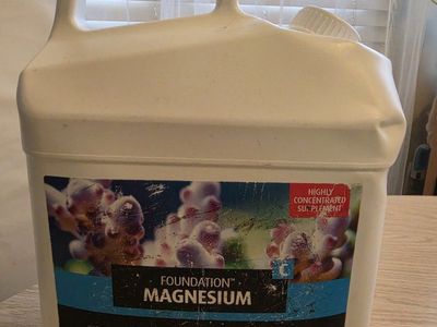 foundation magnesium