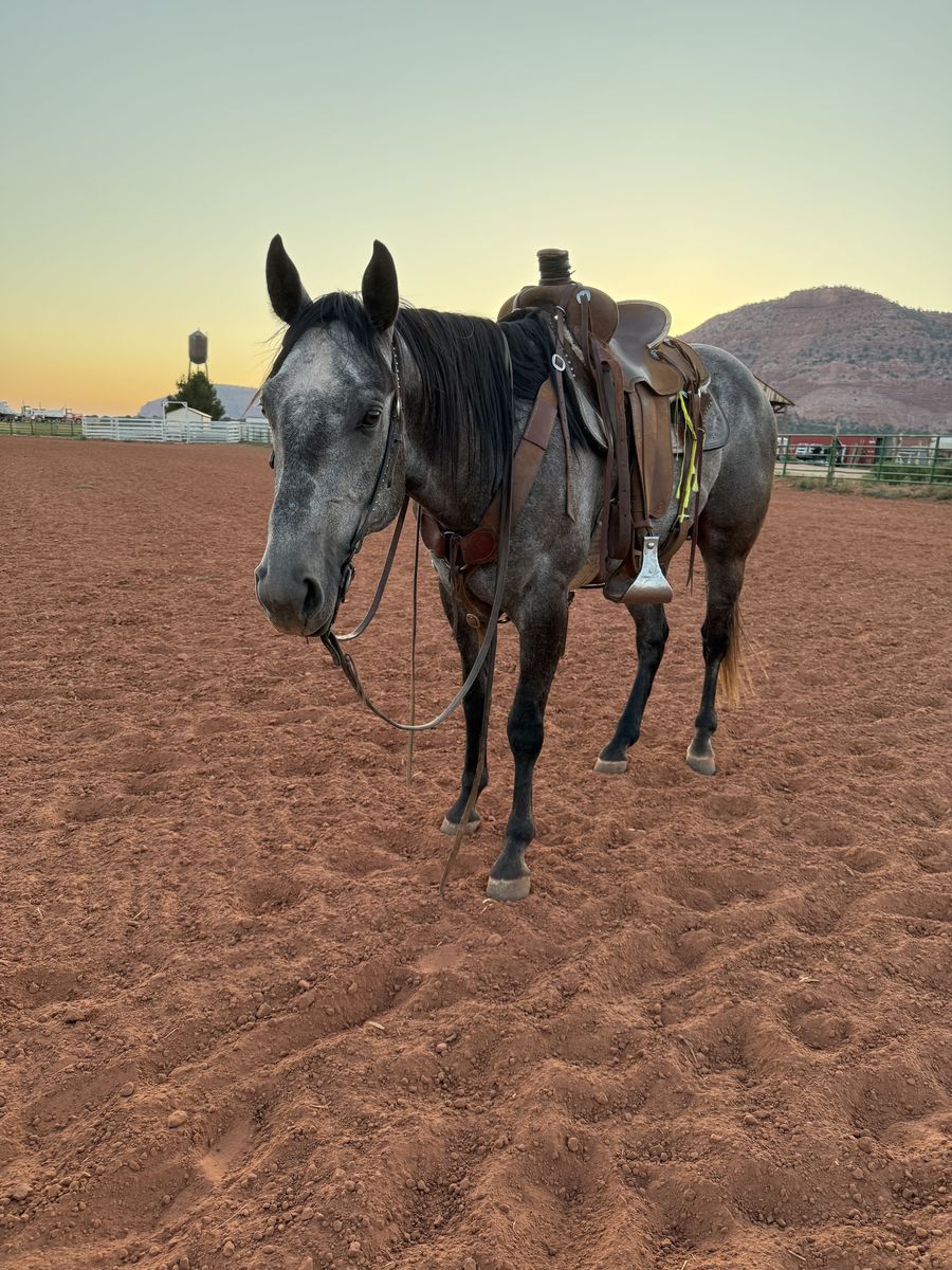 Rope Prospect