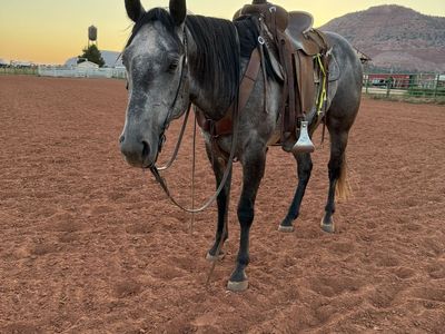 Rope Prospect