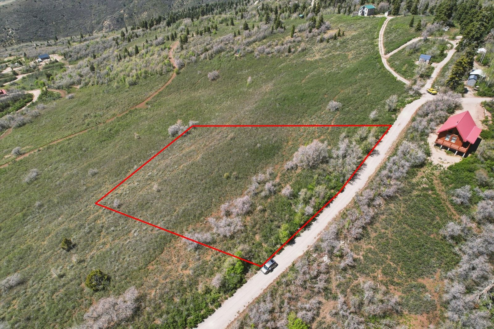 Main image 11