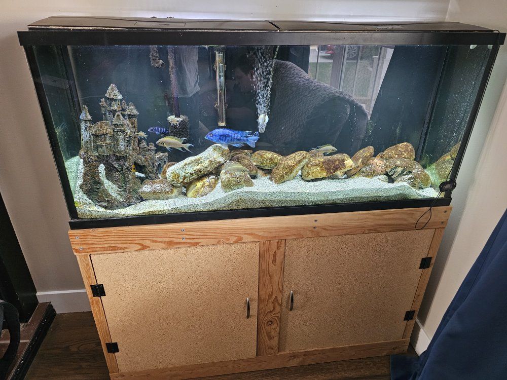 Aquarium and Stand