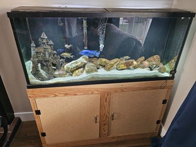 Aquarium and Stand