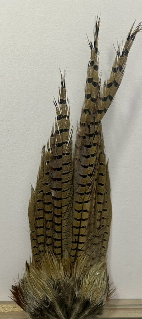 Pheasant Tail