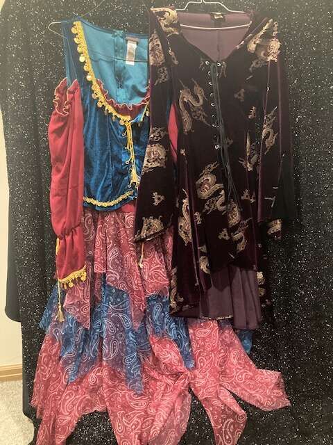 GYPSEY and FORTUNE Teller(Velvet Dragon)  Dresses   $25 Each