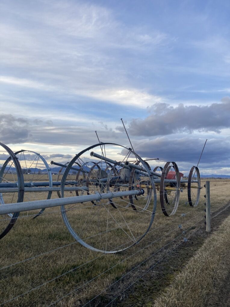 Wheel Lines And Movers