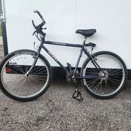 Giant Iguana "Poison Dart Frog" 19" Mountain/Cruiser Bike - Purple Splatter, CST Thumper Tires