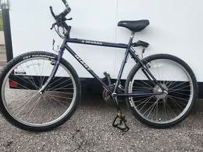 Giant Iguana "Poison Dart Frog" 19" Mountain/Cruiser Bike - Purple Splatter, CST Thumper Tires
