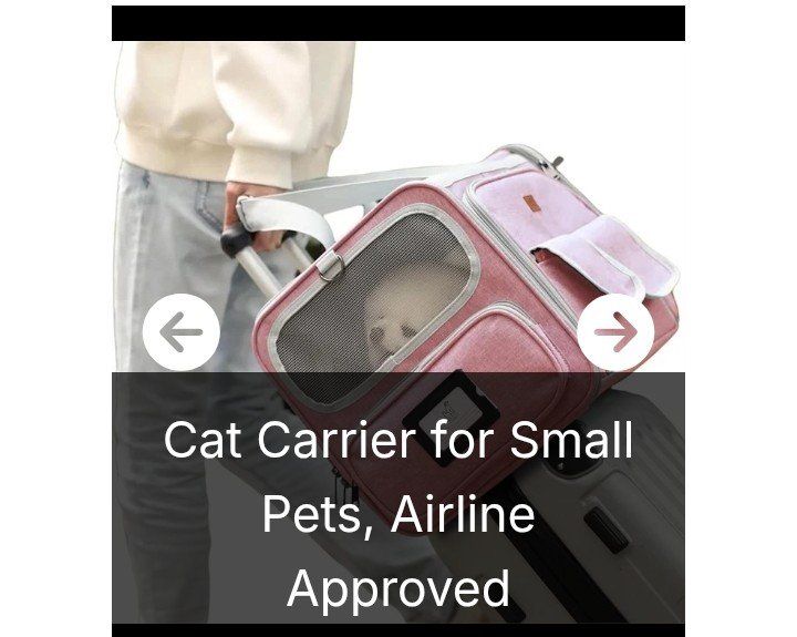 Small Pet Carrier (NEW)