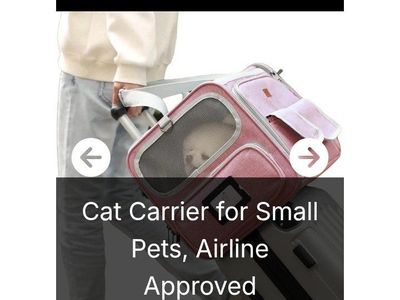 Small Pet Carrier (NEW)