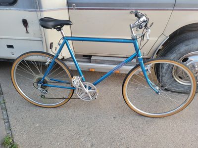 Vintage raleigh tamarack bike 650b
