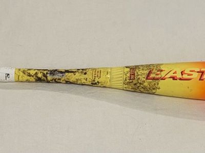 Easton Hype Fire BBCOR baseball bat 33 in (drop 3)
