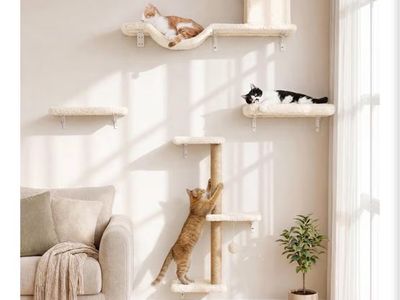 Cat Wall Shelves Set w/ Scratching Post - Beige Wooden Kitten Climbing Wall Furniture
