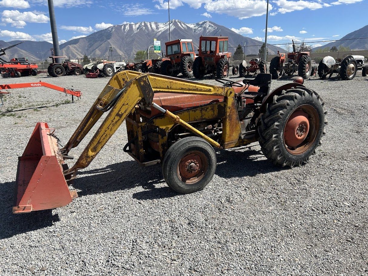 Massey Ferguson 135 with Loader