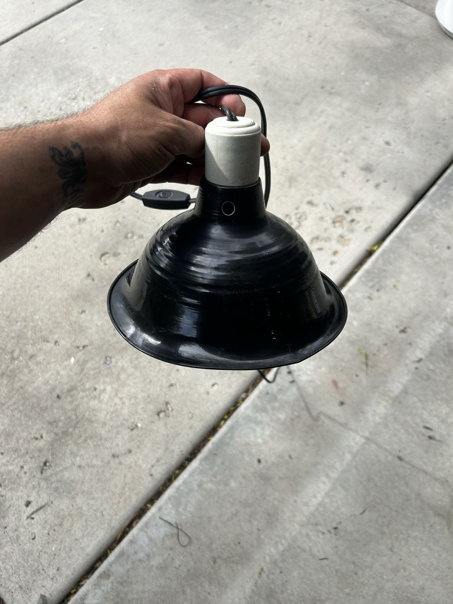 Reptile lamp