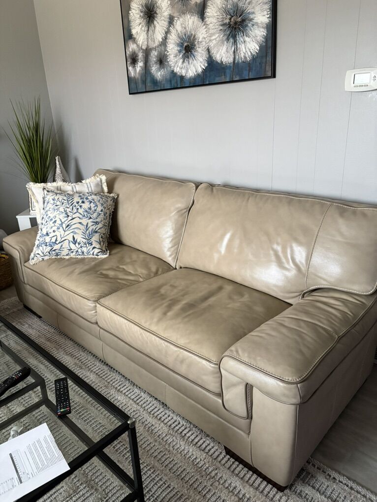 Leather Sofa and Love Seat