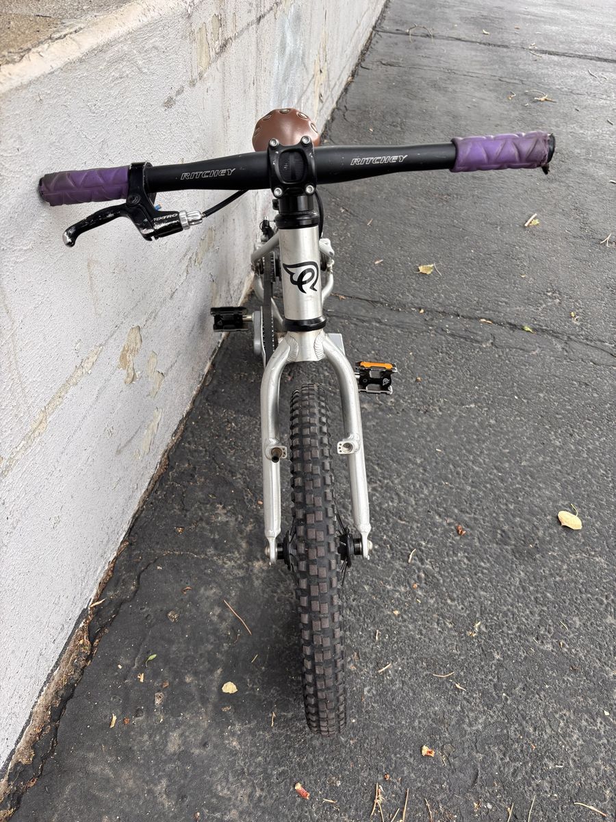Early Ride Child Bike