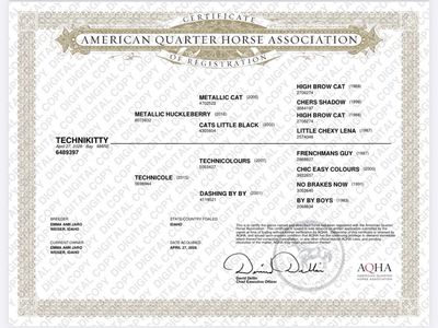 Metallic Cat, Frenchmanβs Guy Bred Filly