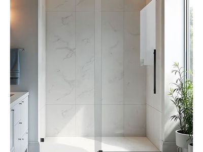 Shower door