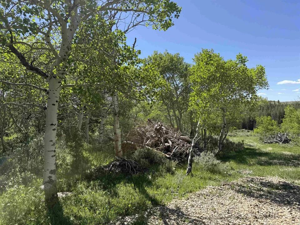 Main image 9