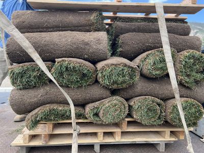 Fresh sod