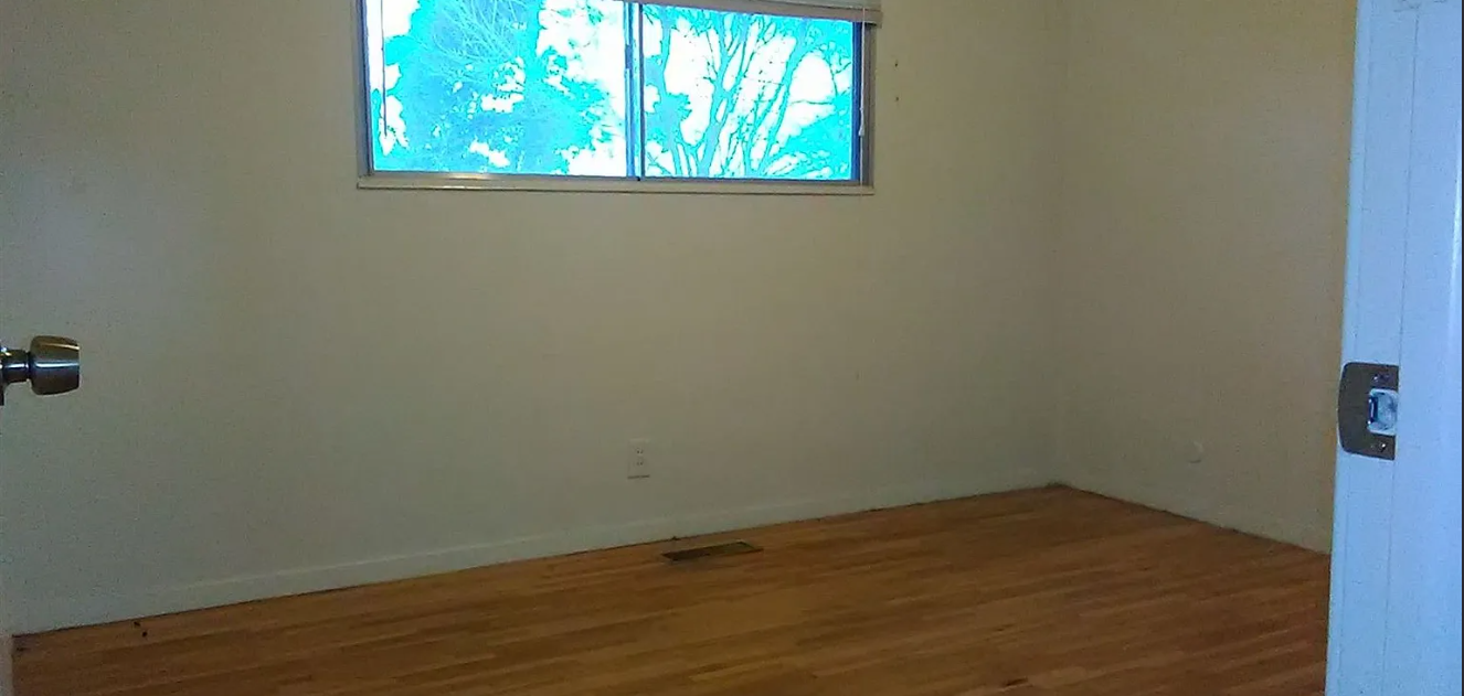 Main image 24