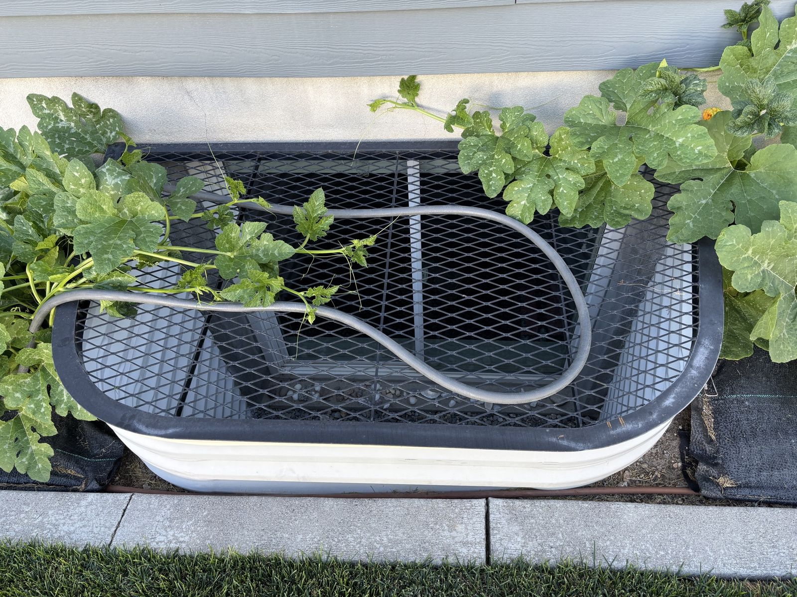 3 Window Well  Covers