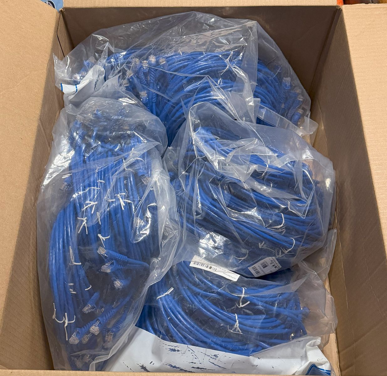 Cat 6 10 Foot Patch Cables